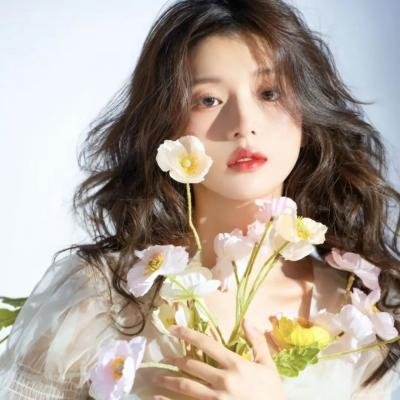 盗贼泰瑞莎